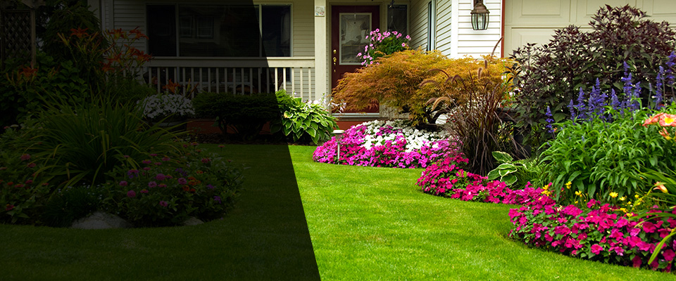 Bethpage Landscapers